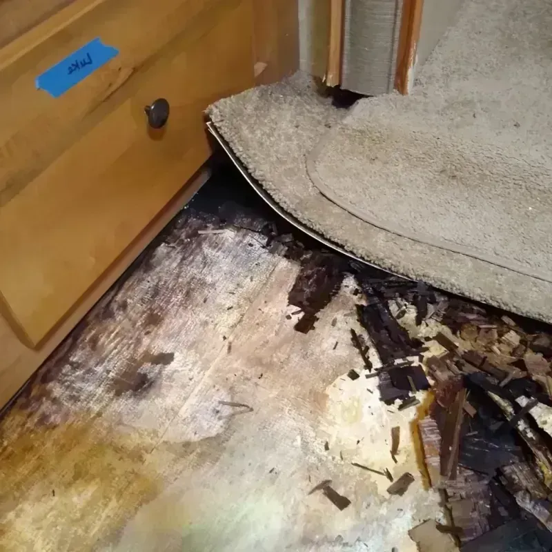 Wood Floor Water Damage in Franklin County, TX